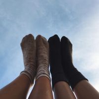 The Greeting Committee - Elise