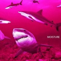 Lofty305 - Moisture