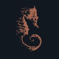 The Sea Nymphs - The Sea Nymphs