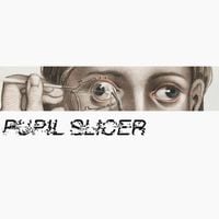 Pupil Slicer - Pupil Slicer