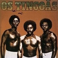 Os Tincoãs - Os Tinco&atilde;s