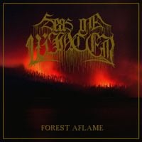 Seas Of Winter - Forest Aflame