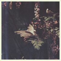 Memoryhouse - Mania