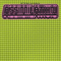 R&oacute;is&iacute;n Murphy - Assimilation