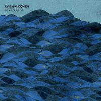 Avishai Cohen - Seven Seas