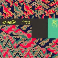 Natural Information Society With Evan Parker - descension (Out of Our Constrictions)