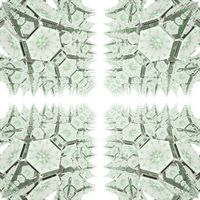 Tropical Interface - Orchid Recycle