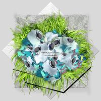 Tropical Interface - scl