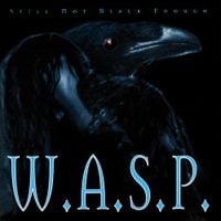 W.A.S.P. - Still Not Black Enough