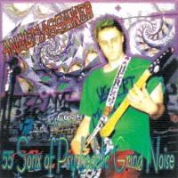 Anal Massaker - 55 Sonx Of Psychedelic Grind Noise