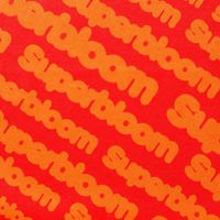 Ashton Irwin - SUPERBLOOM: A LIVE EXPERIENCE