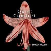 小久保隆 [Takashi Kokubo] - Healing Collection: Quiet Comfort