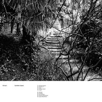 Echium - Synthetic Space