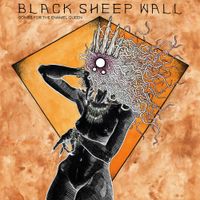Black Sheep Wall - Human Shaped Hole