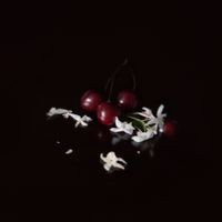 Malibu - One Life : four remixes