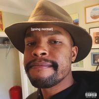 Matt Martians - Going Normal