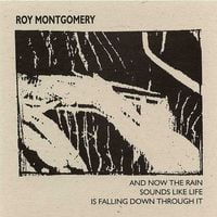 Roy Montgomery - And Now the Rain Sounds Like Life Is Falling Down Through It