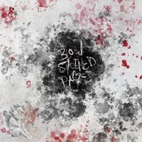 Pro Zay - Blood Stained Pages