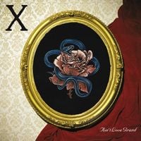 X - Ain't Love Grand!