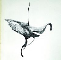Batfinks - Towards the Pipet