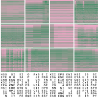 Hecker - Synopsis Seriation