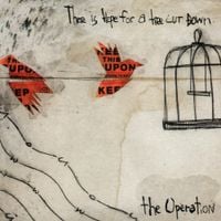 The Operation - There Is Hope For A Tree Cut Down