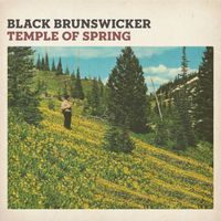 Black Brunswicker - Temple of Spring
