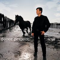 Denez Prigent - Irvi