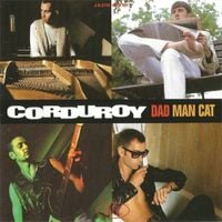 Corduroy - Dad Man Cat