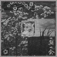 Bosses Hang & Government Alpha & Torturing Nurse & Astro & Vomir - 一期一会 [Once in a Lifetime]