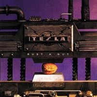 Tesla - Bust a Nut