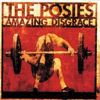 The Posies - Amazing Disgrace