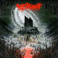 Witch Vomit - A Scream from the Tomb Below