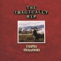 The Tragically Hip - Road Apples