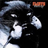 Fluffy - Black Eye