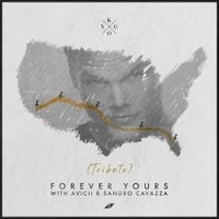 Kygo, Avicii & Sandro Cavazza - Forever Yours (Avicii Tribute)