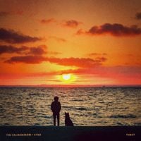 The Chainsmokers - Family