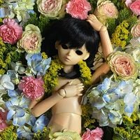 DOLLHOUSE - The First Day of Spring