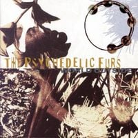The Psychedelic Furs - World Outside