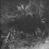 Corrupted Albums, Songs - Discography - Album of The Year