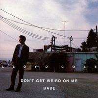 Lloyd Cole - Don't Get Weird on Me Babe