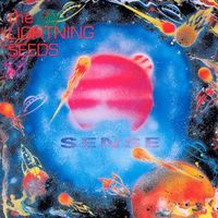 The Lightning Seeds - Sense
