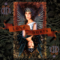 Cher - Love Hurts
