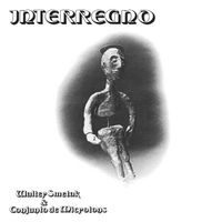 Walter Smetak & Conjunto De Microtons - Interregno (1980)
