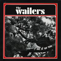 The Fabulous Wailers - Out of our Tree