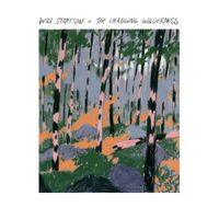 Will Stratton - The Changing Wilderness