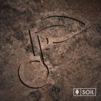 XV - Soil