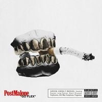 Post Malone - Go Flex