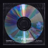페노메코 [PENOMECO] - Dry Flower