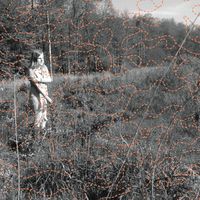 Izabela Dłużyk - Soundscapes of Spring